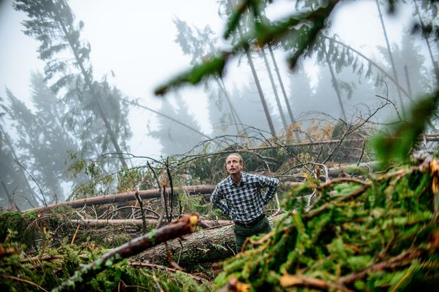 "Nach dem Sturm" von Wolfgang Simlinger. | Foto: Hartlauer Fotogalerie