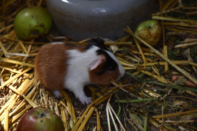 Foto: Michael Strini