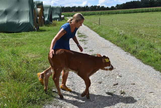 Ein kleiner Ausreißer sorgte für ein wenig Spannung. | Foto: Michael Strini