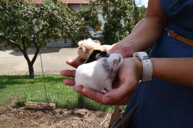 Foto: Michael Strini