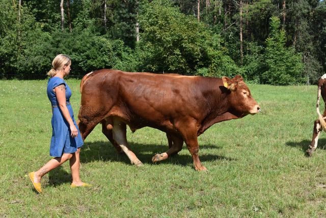 Foto: Michael Strini