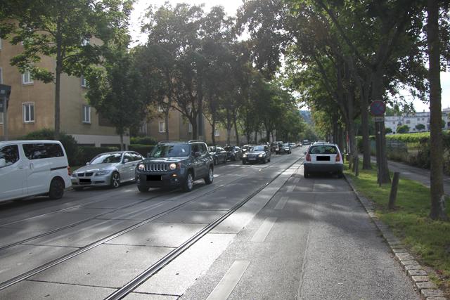 Die Alszeile ist eine stark befahrene Straße. Durch die Autos und die Straßenbahn kommt es zu gefährlichen Situationen für Radfahrer. | Foto: mjp