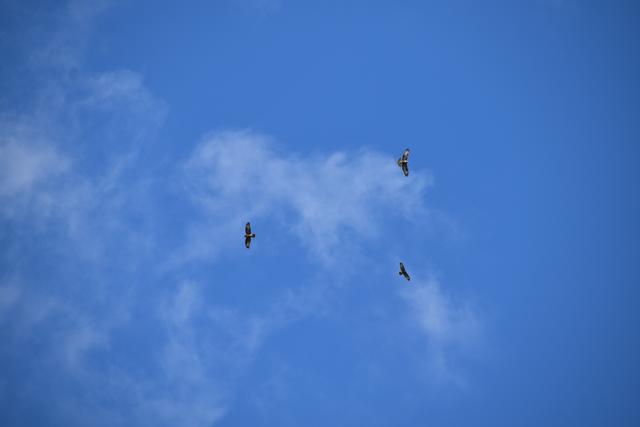 Foto: Michael Strini