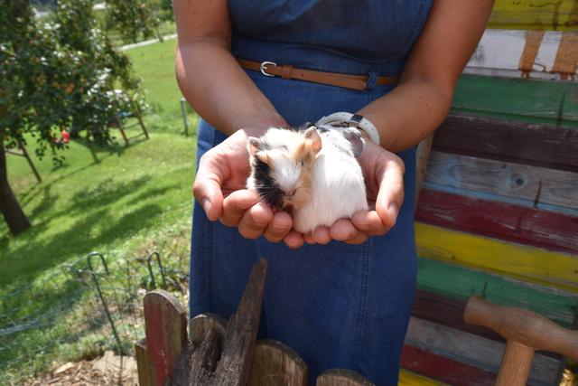 Foto: Michael Strini