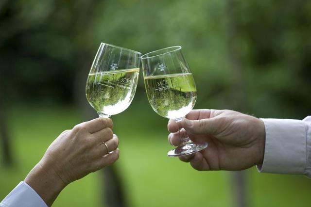 Im Sommer sind alkoholische Getränke wie Most, Cider und Perlwein beliebt. Die Landwirtschaftskammer OÖ gibt jetzt einen Überblick über regionale Anbieter.