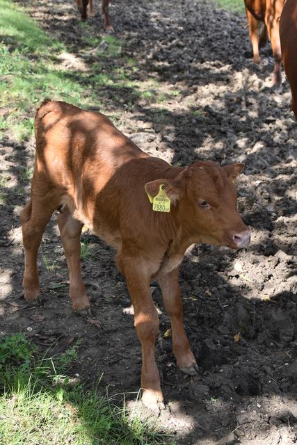 Foto: Michael Strini