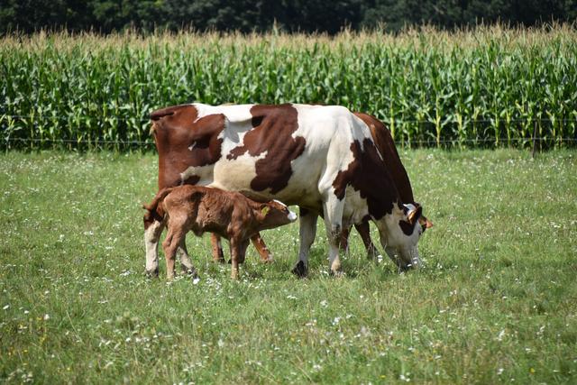 Foto: Michael Strini