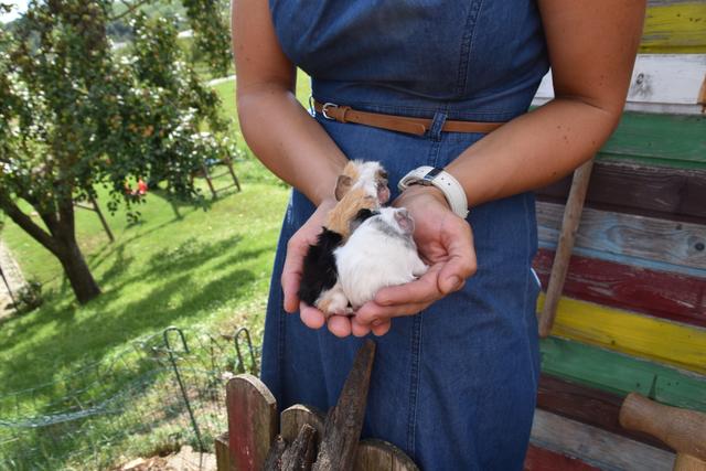 Foto: Michael Strini