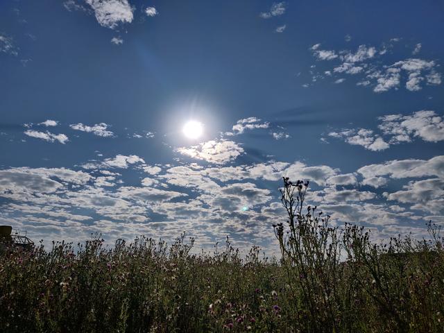 ich schau den weißen Wolken nach, und fange an zu träumen ...