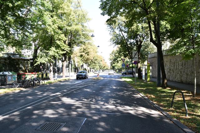 Weniger Lärm und mehr Sicherheit: In der Hasenauerstraße und der Gregor-Mendel-Straße wird Tempo 30 gefordert. | Foto: Markus Spitzauer