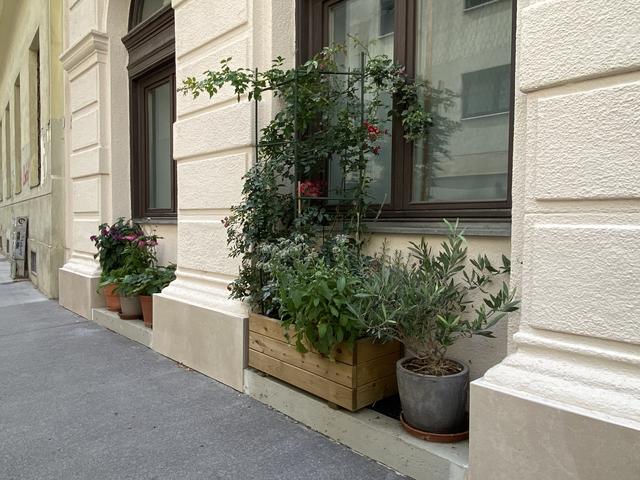 Foto: Barbara Schuster