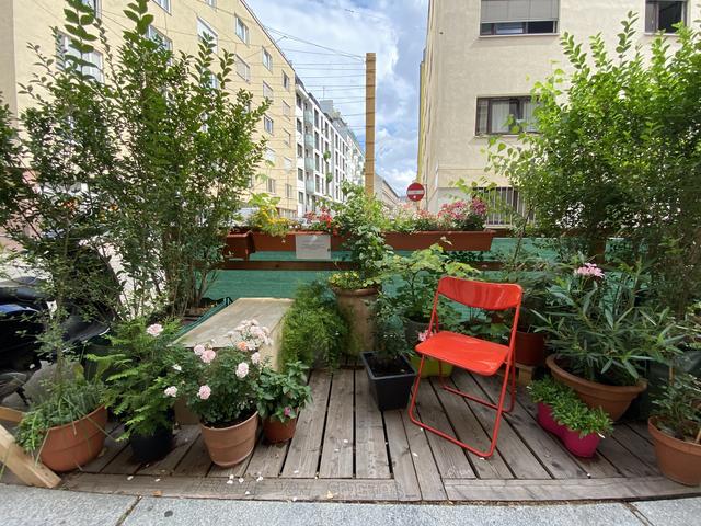 Foto: Barbara Schuster