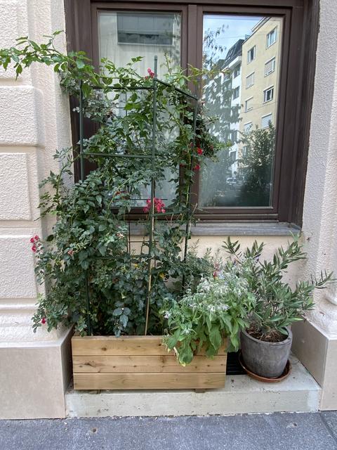 Foto: Barbara Schuster