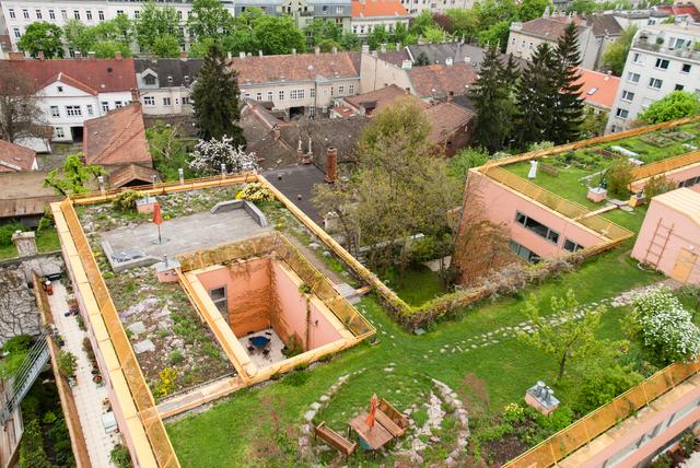 So grün: Die Sargfabrik in Wien macht vor, wie Dachgärten aussehen können. | Foto: Wolfgang Zeiner