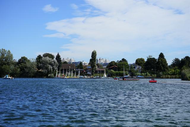 Alte Donau: Bootsfahrt - Liesing