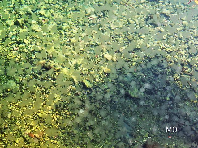 Urlaubsbilder Kroatien 2020