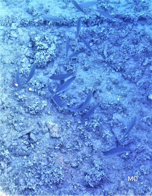 Bilder Kroatien 2020