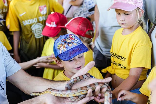 Die Kinder waren von den Schlangen begeistert. | Foto: Josef Klug
