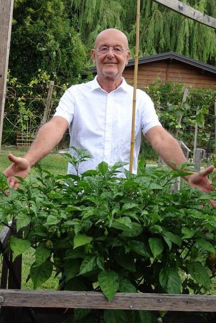 Raoul Marzellin hegt und pflegt seine Chilis.