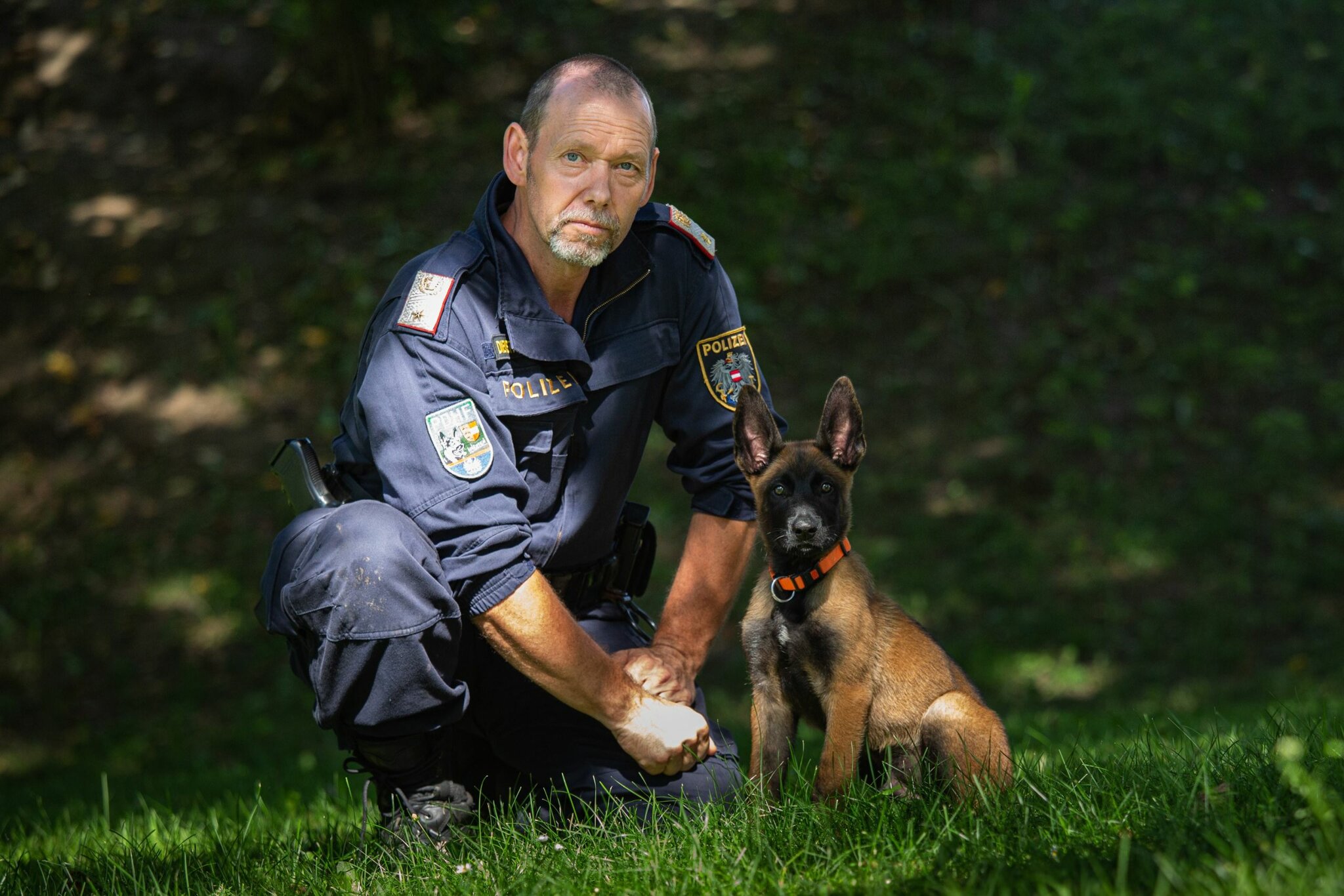 Vier junge Polizeihunde traten ihren Dienst an Villach