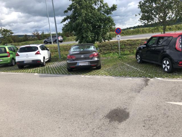 Entdeckt beim Bahnhof Tullnerfeld von einem Bezirksblattleser | Foto: privat
