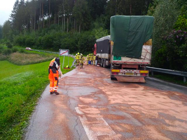 Zu einer massive Verunreinigung durch Diesel-Kraftstoff kam es am Dienstagvormittag im Gemeindegebiet von Tulfes. | Foto: Zoom.tirol