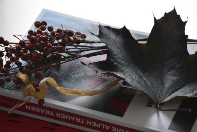 Foto: Barbara Fluckinger