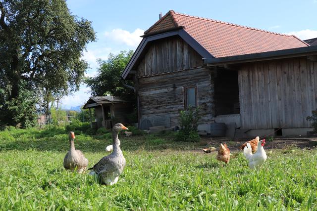 Foto: Pouget