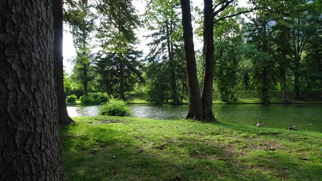 ... gehen anschließend wieder in den Park zurück! ...