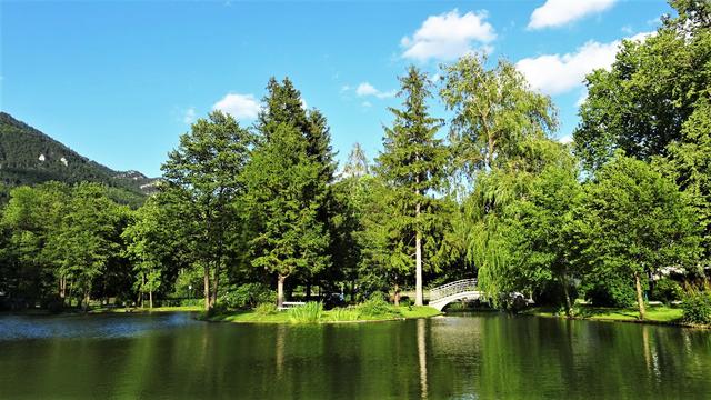 Nach dem Musikpavillon beginnt der künstliche Teil des Kurparks, der Lenau-Park, in dessen Mitte sich ein wunderschön angelegter Teich und ...