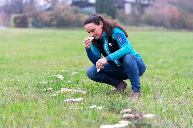 Katja Hintersteiner, Ökologin und Gründerin  "Linzer Biene" 
Steckbrief:  Die Ökologin und wesensnah imkernde Stadt-Bienenbetreuerin Katja Hintersteiner arbeitet und referiert seit Jahren freiberuflich in den Bereichen Botanik (Botanischer Garten der Stadt Linz), Ökologie (Naturschauspiel, Klimabündnis) und Zoologie (Imkerei, VHS – Linz). Besonderes Anliegen ist ihr die Vermittlung von natürlichen Prozessen in den uns umgebenden Ökosystem-Typen. Gerade die Stadtökologie ist ein spannendes Feld, worin Sie gerne mit Schulklassen und Erwachsenengruppen eintaucht um diese neu zu entdecken. | Foto: Linzer Biene