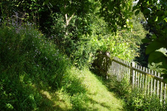 Wilde Blumen braucht das Land  | Foto: Helmut Eder