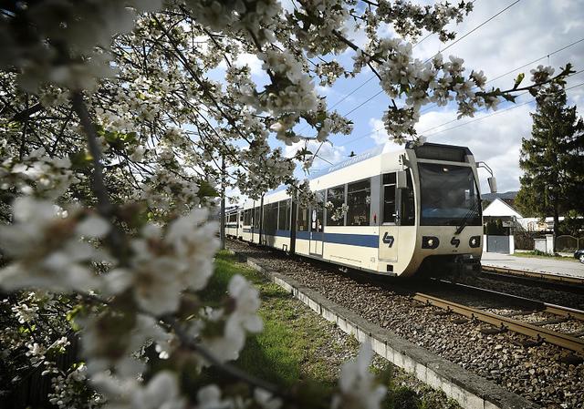 Die Badner Bahn ist zur Hauptverkehrszeit wieder im dichteren Takt unterwegs. | Foto: WLB