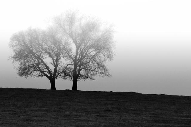 Das Motto für das November-Titelbild lautet: "Shades of Grey – So schön ist Tirol in Schwarz-Weiß"