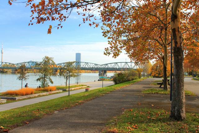 Wie steht es um die Lebensqualität im 20. Bezirk? Nun sind die Brigittenauer Spitzenkandidaten am Wort. | Foto: Otti Ebner