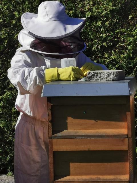 Uschi Knoflach hat die Bienenzucht zu ihrem Hobby gemacht. | Foto: Michael Kendlbacher