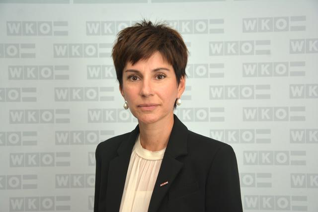 Alexandra Sulyok, Vorsitzende der Fachvertretung Druck Burgenland | Foto: Wirtschaftskammer Burgenland