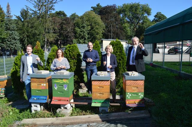 Matthias Friedrich,  Renate Niklas, Marcel Höckner, Silke Kobald und Gerhard Schmid bei der Präsentation der Hietzinger Friedhof Bienen. | Foto: Berger