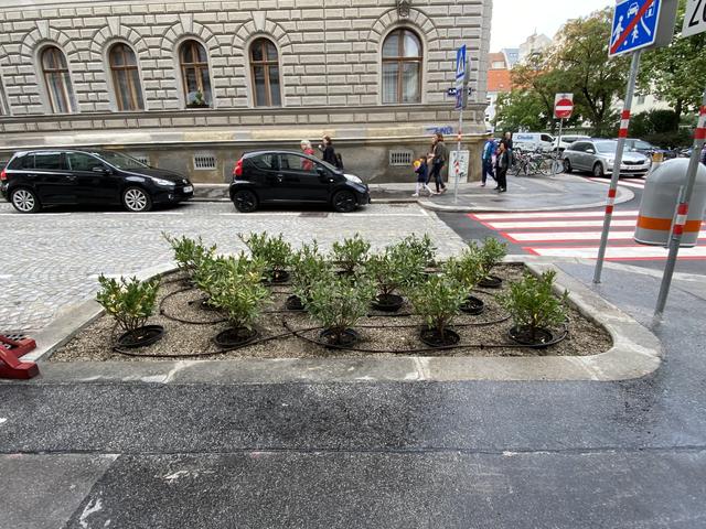 Foto: Barbara Schuster