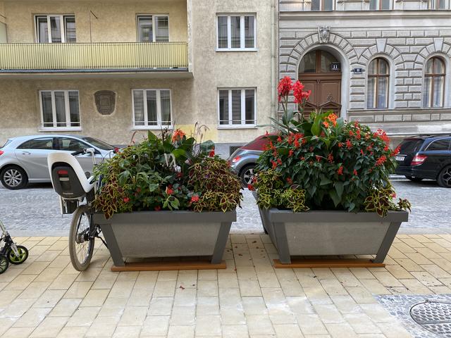 Die großen Blumentröge bringen Begrünung in die Straße. | Foto: Barbara Schuster