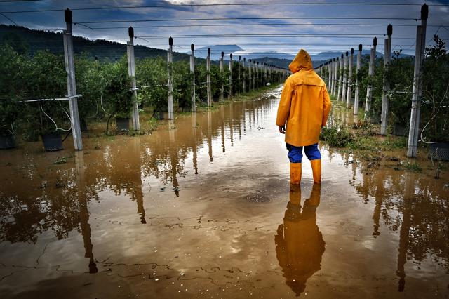 Foto: Iris Bloder Photography