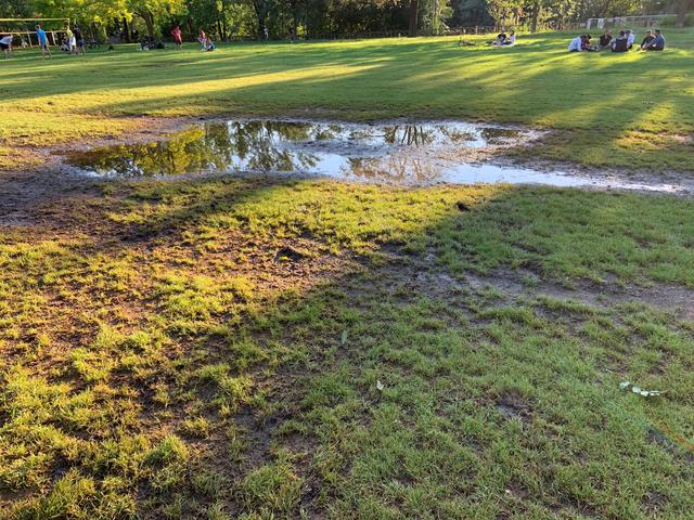 Auf der Augarten-Grünfläche staut sich das Wasser. | Foto: KK