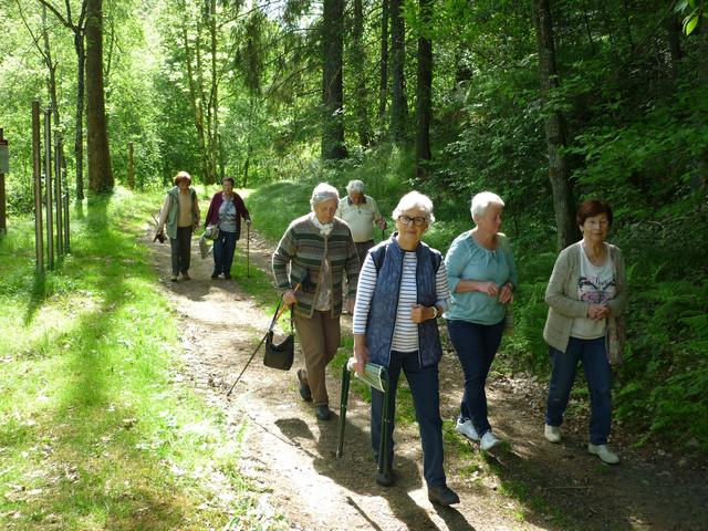 Die SelbA-Gruppe Niederwaldkirchen unternimmt regelmäßig Denkspaziergänge. | Foto: Lindorfer