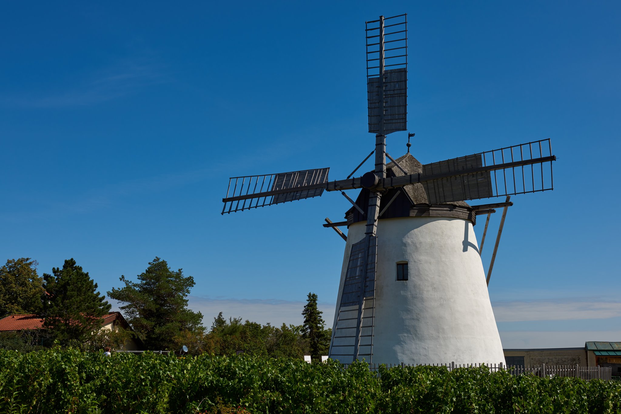 Die Windmühle in Retz Waidhofen/Thaya