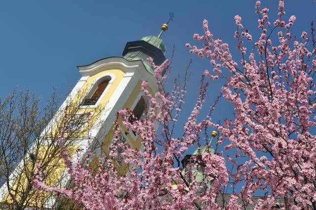Wechsel in den Pfarren St. Johann (Bild) und Oberndorf.