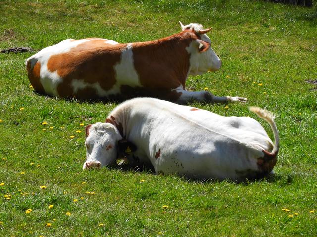 SYMBOLBILD | Foto: Archiv