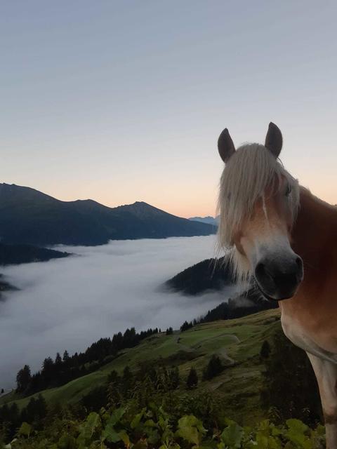 Wipptal Navis Tal auswärts morgens um 06:00 ZehenterAlm
Fotograph Diego Peer
