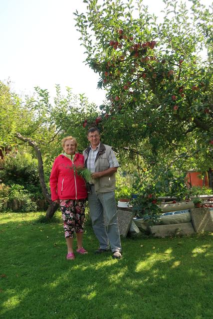 Unter dem Apfelbaum wohnen die fünf Igel, die Maria und Erich Schock füttern und betreuen. | Foto: Ingrid Ruf