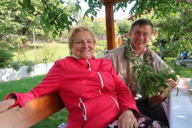 Erich Schock zeigt: Brennnessel und "Kotznschwoaf" (Schachtelhalm) gegen Läuse. | Foto: Ingrid Ruf