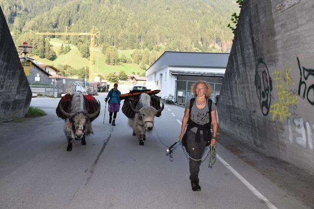 Die Tiere durch die Unterführung zu bringen, war gar nicht so einfach.